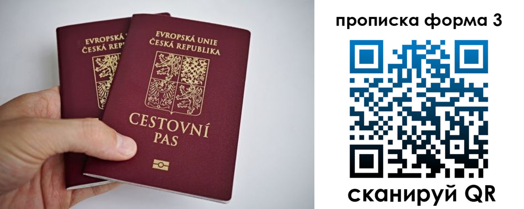 регистрация для школы в Ногинске